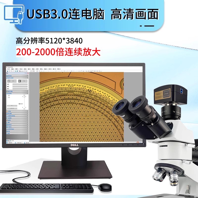 /data/images/product/20250723101239_920.jpg /data/images/product/20250723101239_920.jpg