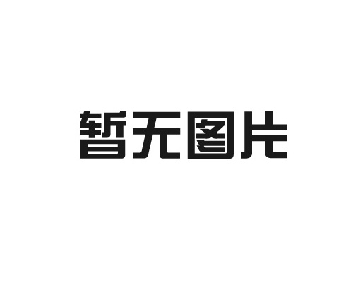 臥式平整度檢測儀  GP-50
